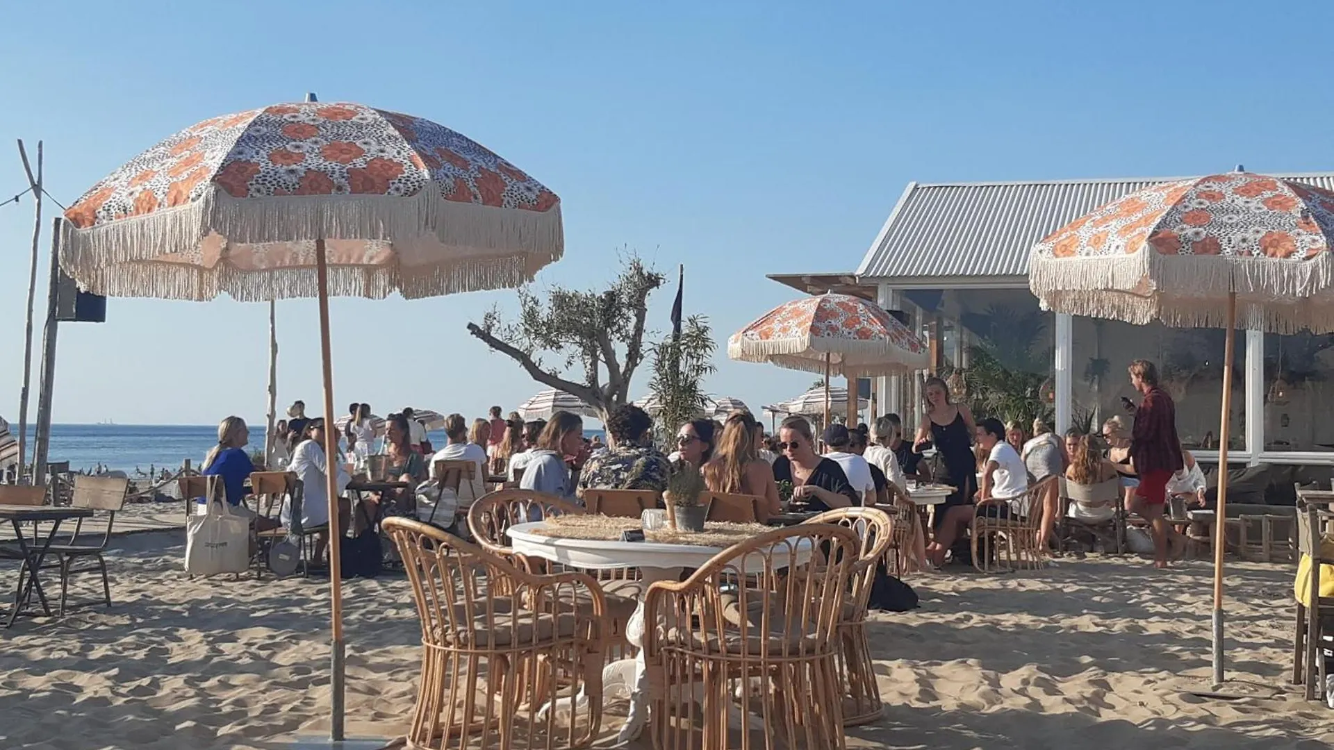 B&B Little Miss Sunshine Zandvoort Niederlande